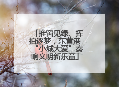 推窗见绿、挥拍逐梦，东营港“小城大爱”奏响文明新乐章