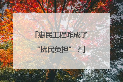 惠民工程咋成了“扰民负担”？
