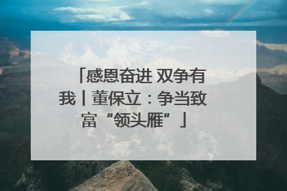 感恩奋进 双争有我丨董保立：争当致富“领头雁”