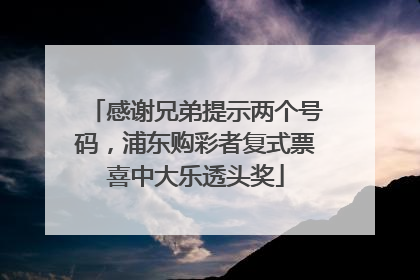 感谢兄弟提示两个号码，浦东购彩者复式票喜中大乐透头奖