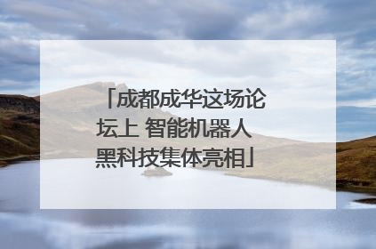 成都成华这场论坛上 智能机器人黑科技集体亮相