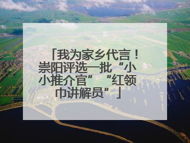 我为家乡代言！崇阳评选一批“小小推介官”“红领巾讲解员”