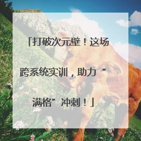 打破次元壁！这场跨系统实训，助力“满格”冲刺！