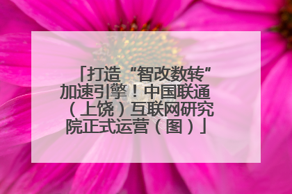 打造“智改数转”加速引擎！中国联通（上饶）互联网研究院正式运营（图）