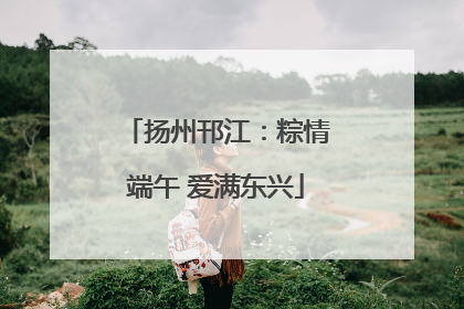 扬州邗江：粽情端午 爱满东兴