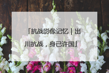 抗战影像记忆｜出川抗战，身已许国