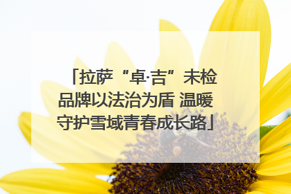 拉萨“卓·吉”未检品牌以法治为盾 温暖守护雪域青春成长路