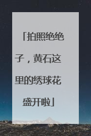 拍照绝绝子，黄石这里的绣球花盛开啦