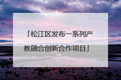松江区发布一系列产教融合创新合作项目