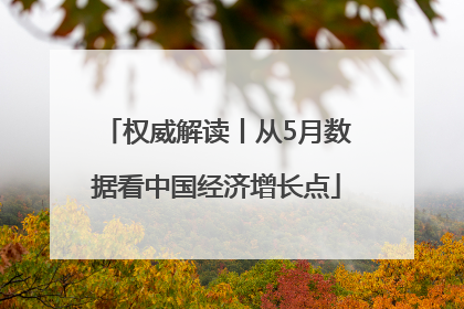 权威解读丨从5月数据看中国经济增长点