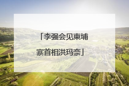 李强会见柬埔寨首相洪玛奈
