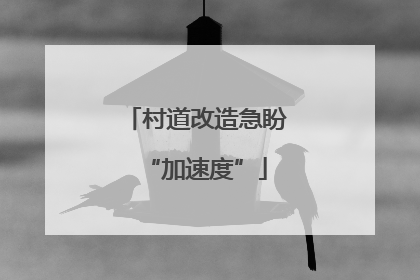 村道改造急盼“加速度”