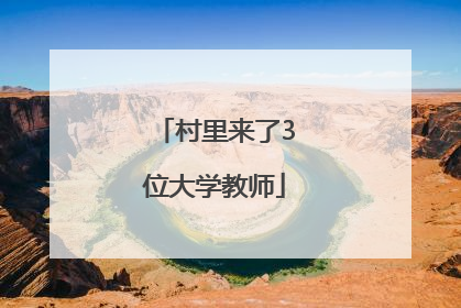 村里来了3位大学教师