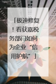 极速修复！看获嘉税务部门如何为企业“信用护航”