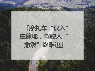摩托车“误入”庄稼地，驾驶人“撒泼”终难逃
