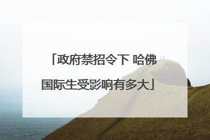 政府禁招令下 哈佛国际生受影响有多大