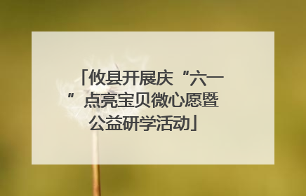 攸县开展庆“六一”点亮宝贝微心愿暨公益研学活动