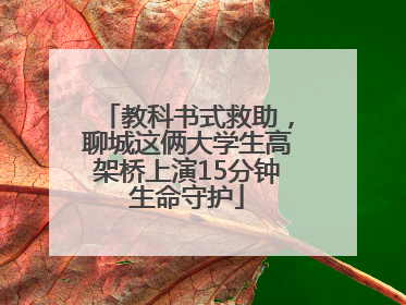 教科书式救助，聊城这俩大学生高架桥上演15分钟生命守护