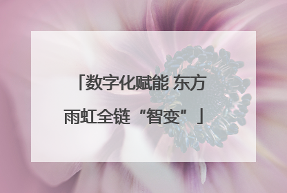 数字化赋能 东方雨虹全链“智变”
