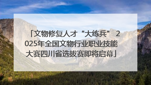 文物修复人才“大练兵” 2025年全国文物行业职业技能大赛四川省选拔赛即将启幕