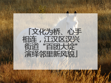 文化为桥、心手相连，江汉区汉兴街道“百团大绽”演绎邻里新风貌
