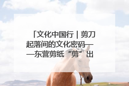 文化中国行｜剪刀起落间的文化密码——东营剪纸“剪”出非遗传承与现代生活的融合之道