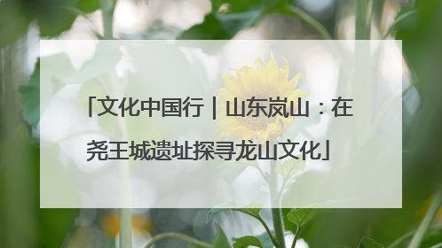 文化中国行｜山东岚山：在尧王城遗址探寻龙山文化
