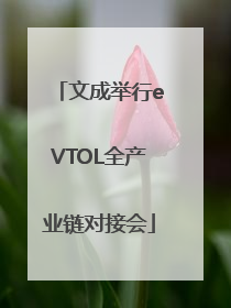文成举行eVTOL全产业链对接会