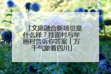 文旅融合新场景是什么样？挂面村与年画村告诉你答案丨万千气象看四川