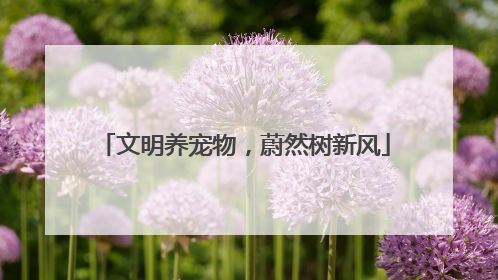 文明养宠物，蔚然树新风