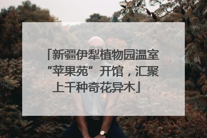 新疆伊犁植物园温室“苹果苑”开馆，汇聚上千种奇花异木