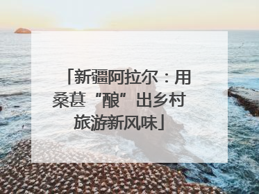 新疆阿拉尔：用桑葚“酿”出乡村旅游新风味