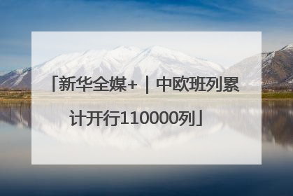 新华全媒+｜中欧班列累计开行110000列