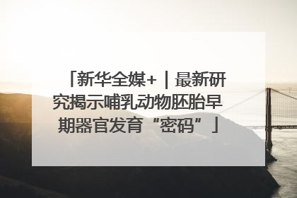 新华全媒+｜最新研究揭示哺乳动物胚胎早期器官发育“密码”