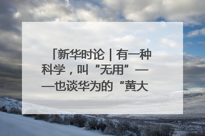 新华时论｜有一种科学，叫“无用”——也谈华为的“黄大年茶思屋”
