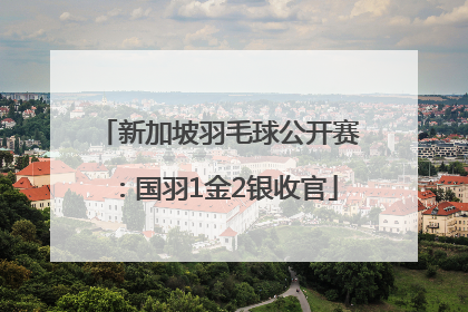 新加坡羽毛球公开赛：国羽1金2银收官