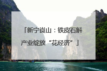 新宁崀山：铁皮石斛产业绽放“花经济”