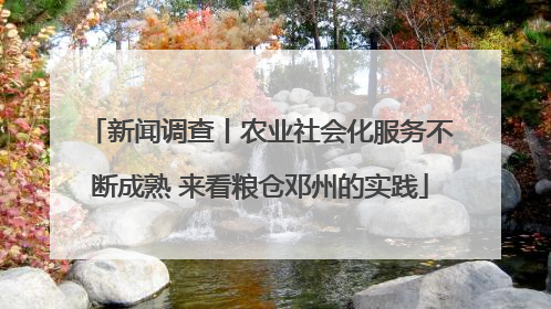 新闻调查丨农业社会化服务不断成熟 来看粮仓邓州的实践
