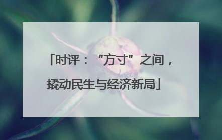 时评：“方寸”之间，撬动民生与经济新局