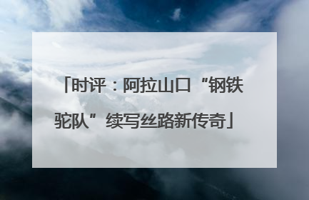 时评：阿拉山口“钢铁驼队”续写丝路新传奇