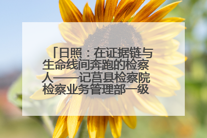 日照：在证据链与生命线间奔跑的检察人——记莒县检察院检察业务管理部一级科员庄肃栋