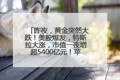 昨夜，黄金突然大跌！美股爆发，特斯拉大涨，市值一夜增超5400亿元！苹果传来大消息