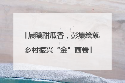 晨曦甜瓜香，彭集绘就乡村振兴“金”画卷