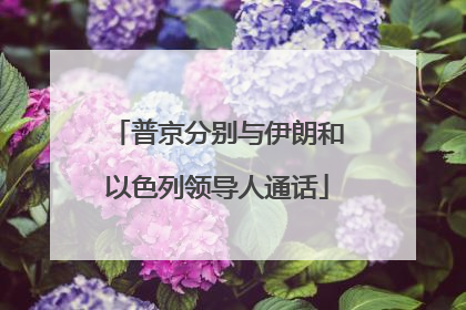 普京分别与伊朗和以色列领导人通话