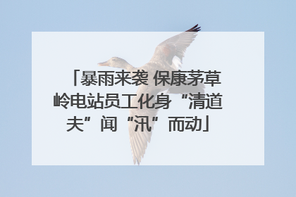 暴雨来袭 保康茅草岭电站员工化身“清道夫”闻“汛”而动