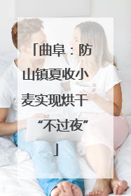 曲阜：防山镇夏收小麦实现烘干“不过夜”