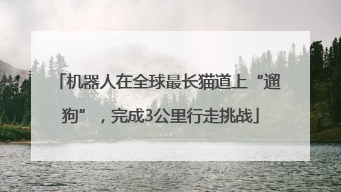 机器人在全球最长猫道上“遛狗”，完成3公里行走挑战