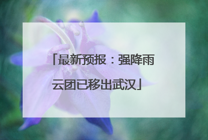 最新预报：强降雨云团已移出武汉