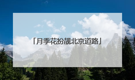 月季花扮靓北京道路