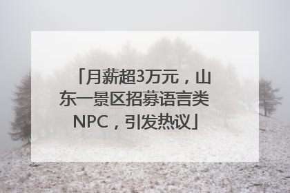 月薪超3万元，山东一景区招募语言类NPC，引发热议